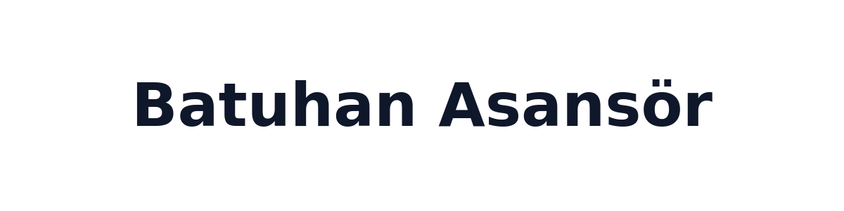 https://batuhan.elevatora.com/Batuhan%20Asans%C3%B6r